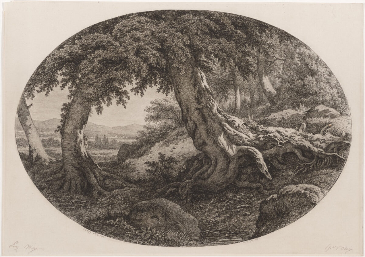 Deconstructing Nature: Environmental Transformation in the Lucas Collection