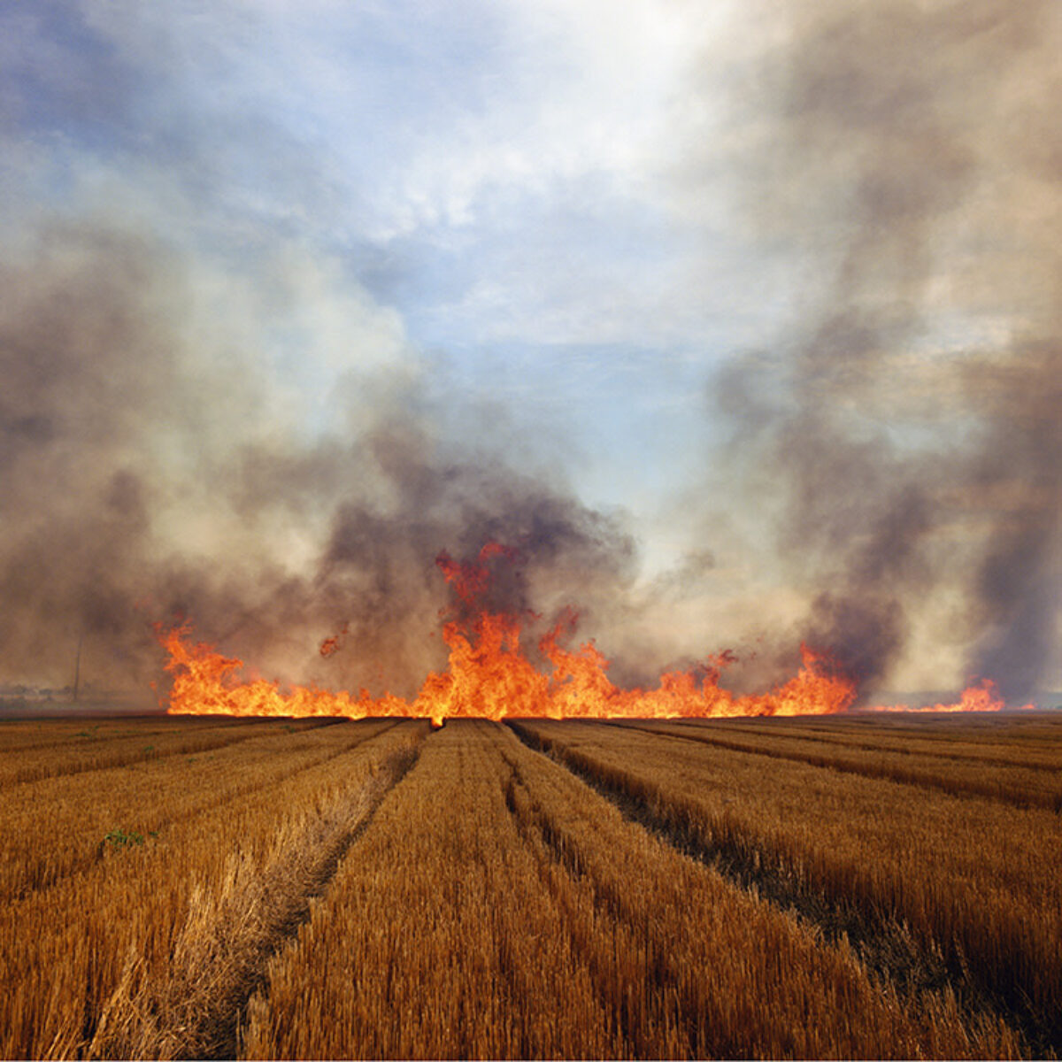 Engaging the Elements: Poetry in Nature