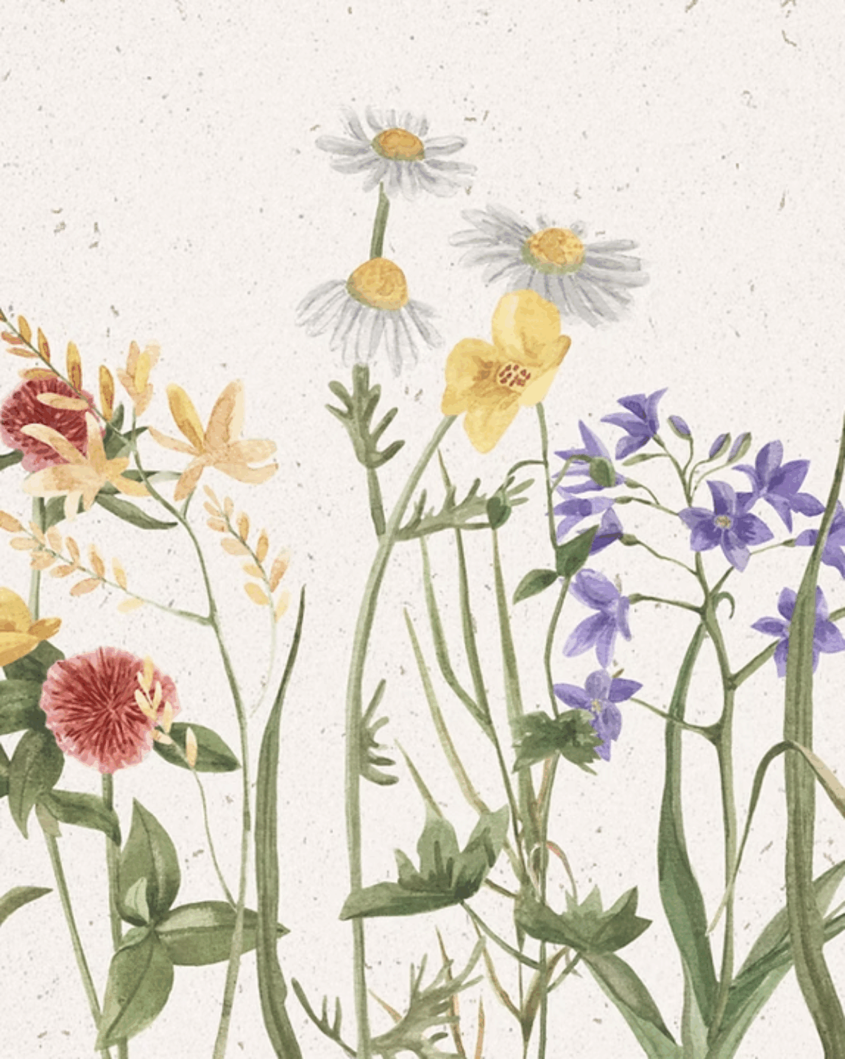 For the Beauty of the Earth