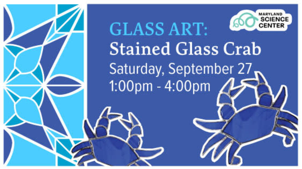 Glass Art: Stained Glass Crab | Visit Baltimore