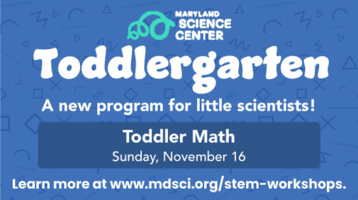 Toddlergarten: Toddler Math