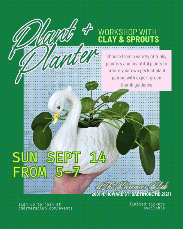 Plant & Planter Workshop