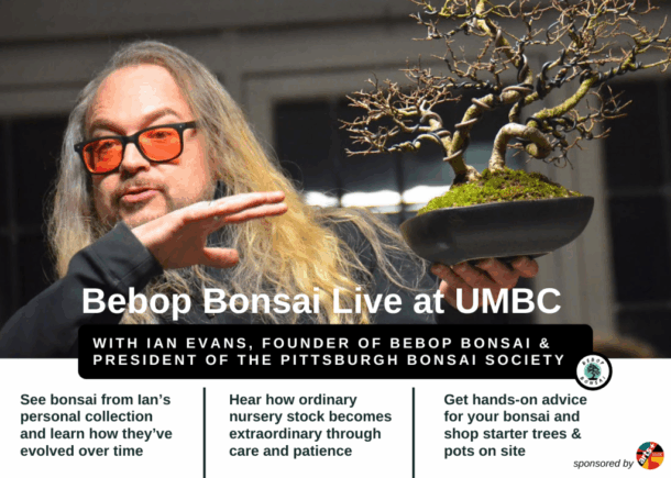 Bebop Bonsai Live at UMBC