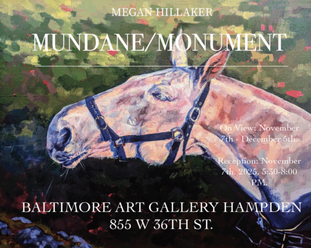 Opening Reception: Megan Hillaker's Showcase Exhibit 