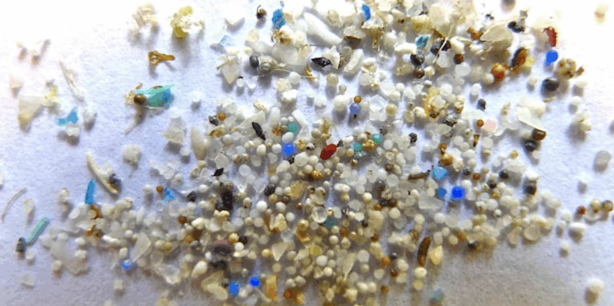 Marine Microplastics (for ages 12-18)