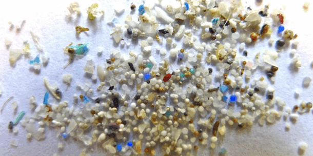 Marine Microplastics (for ages 12-18)
