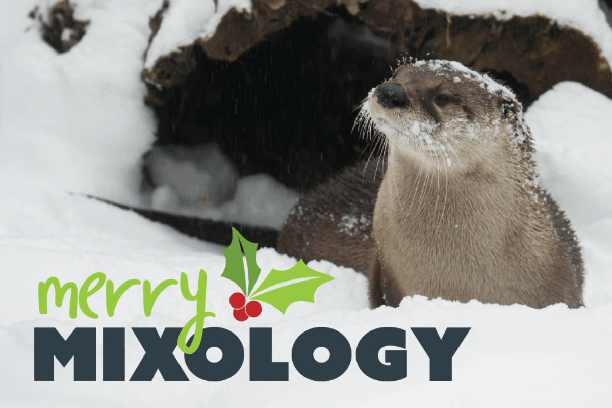 Merry Mixology: Workshop at the Zoo