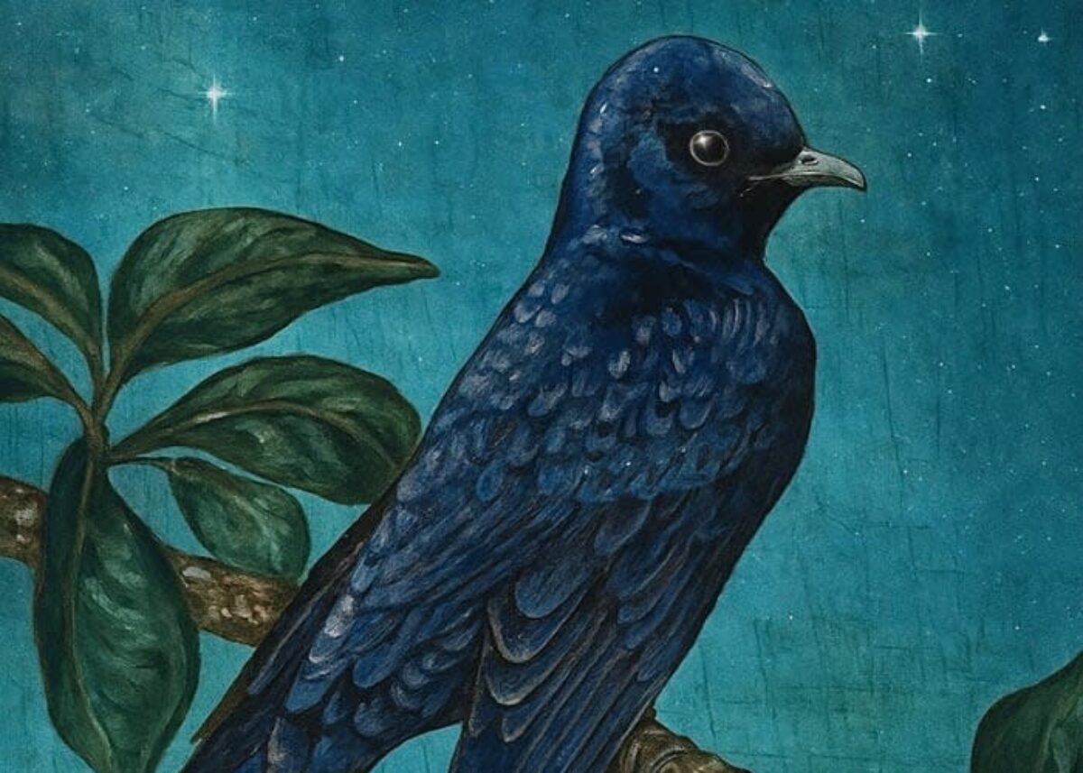 bird painting