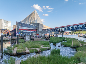 Wide shot of Harbor Wetlands