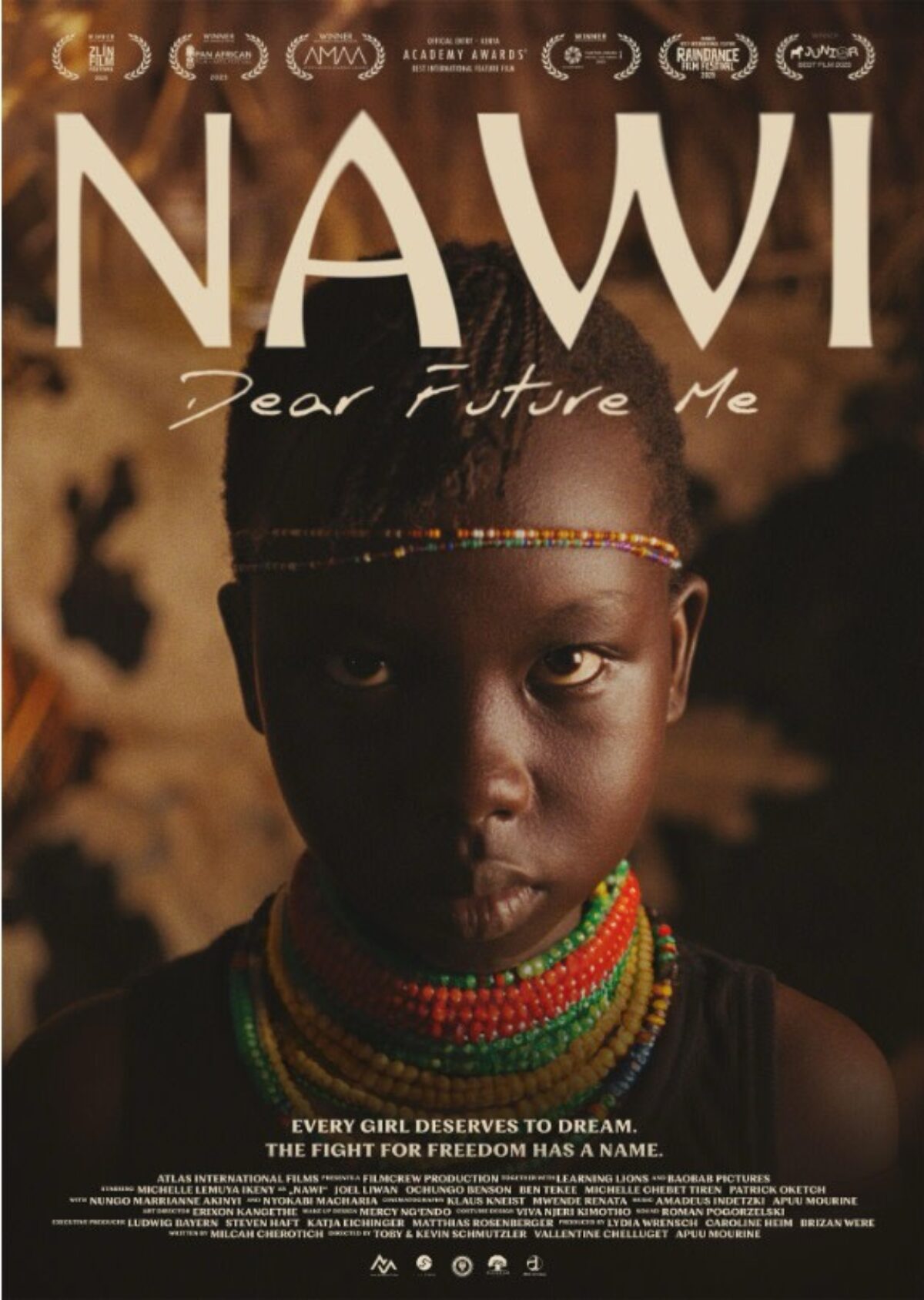 A Lake in A Desert - Finale Event 1/22 @ MICA, Brown Center - Film Screening, Director and Scientists Talks, Panel Discussion, and Reception - event flyer