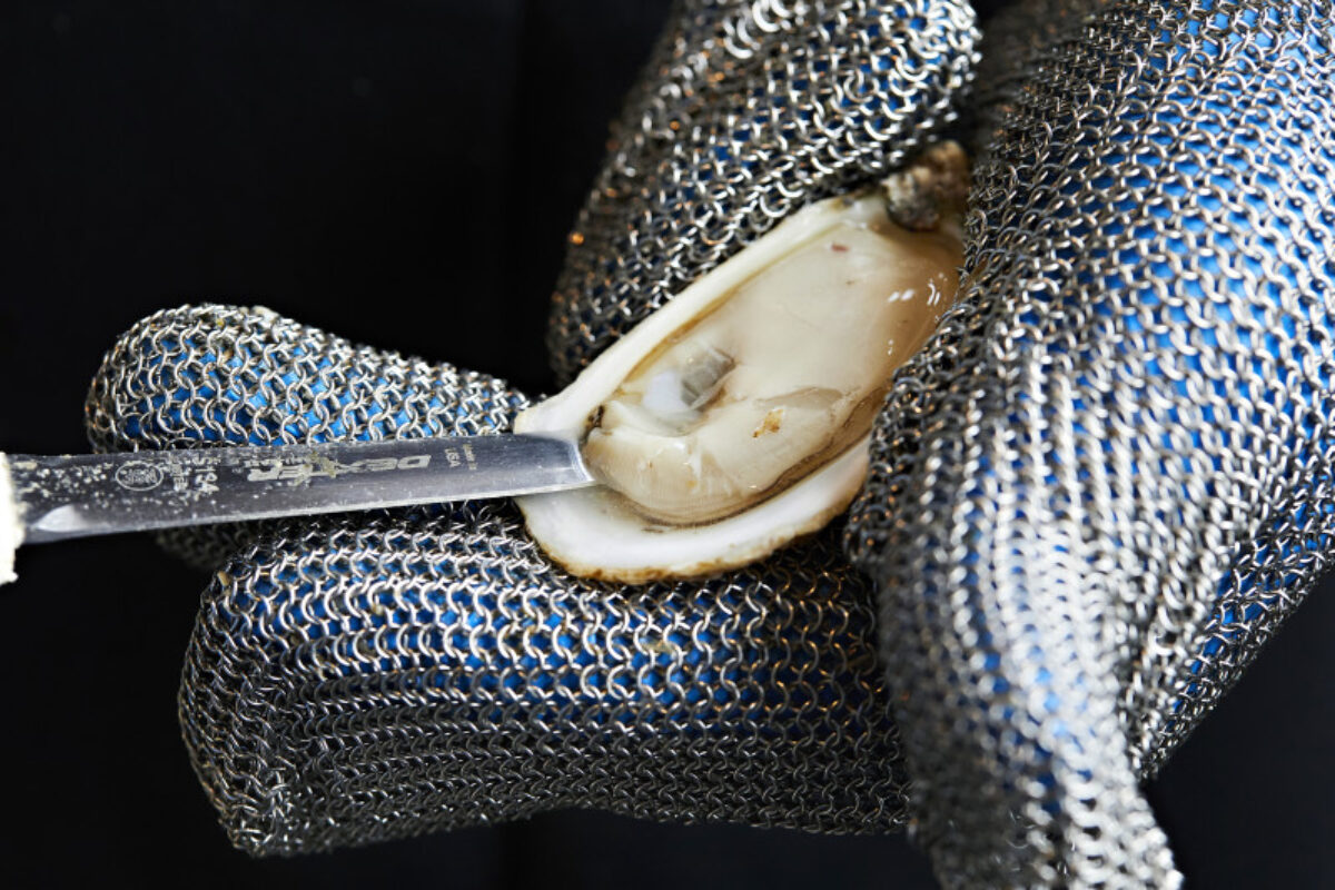 person chucking an oyster