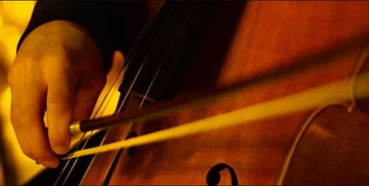 person playing the cello