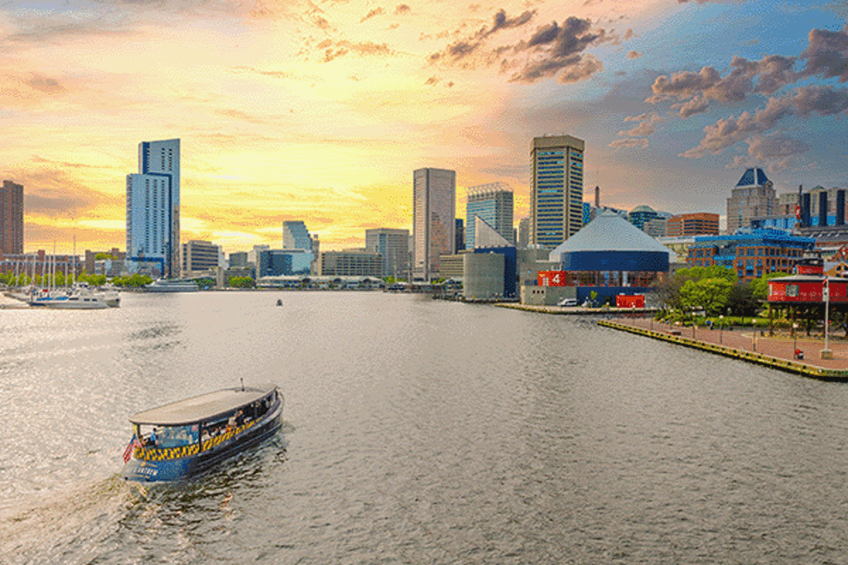 Gif showing alternating summer images