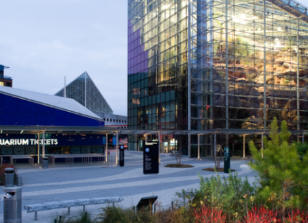 National Aquarium, Baltimore