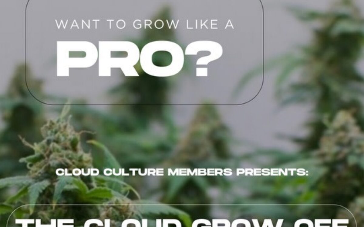 Cloud Culture Members 2026 Grow Off