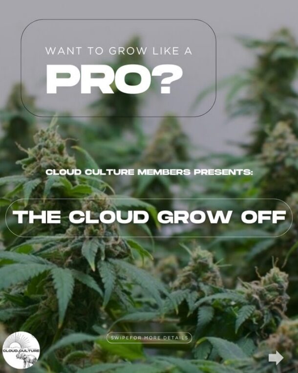 Cloud Culture Members 2026 Grow Off