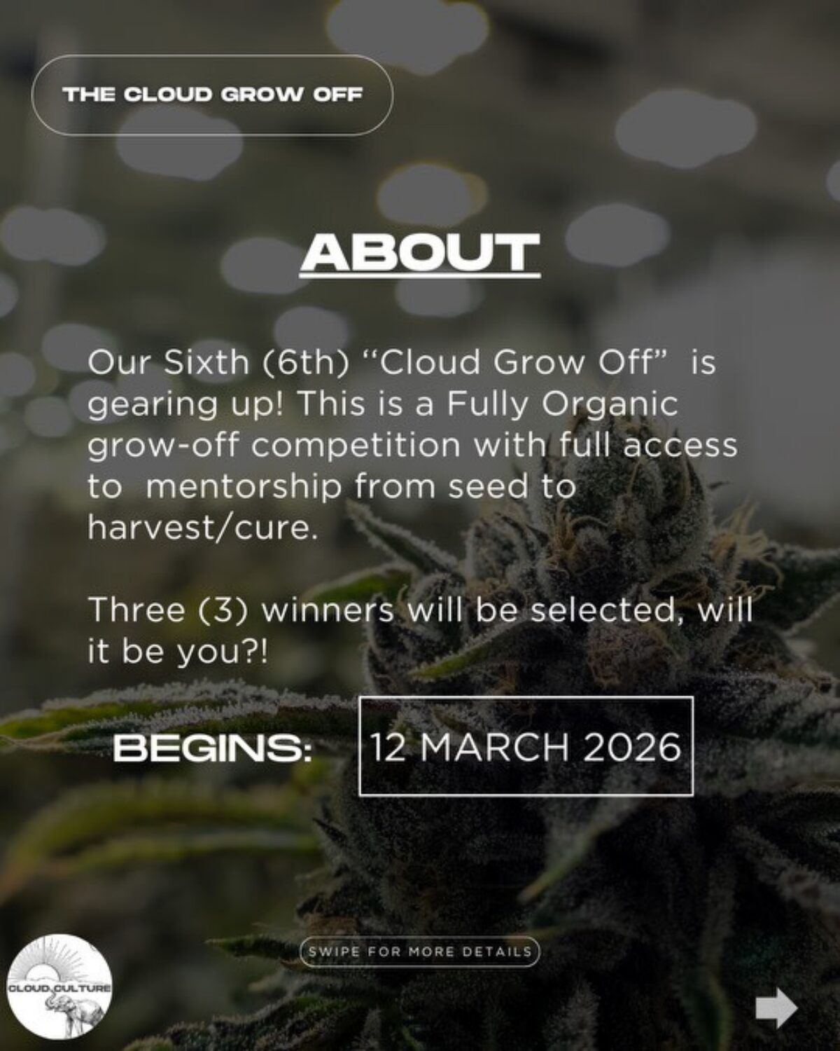 Cloud Culture Members 2026 Grow Off