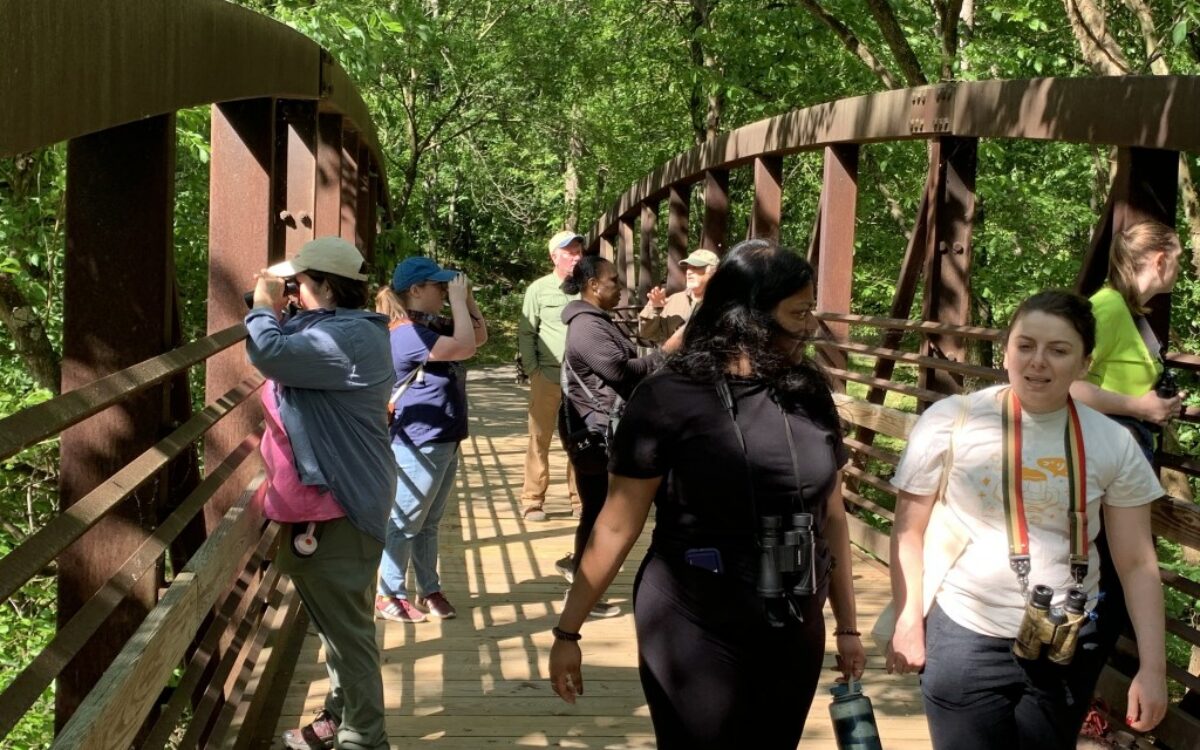 Second Sundays @ Gwynns Falls Leakin Park