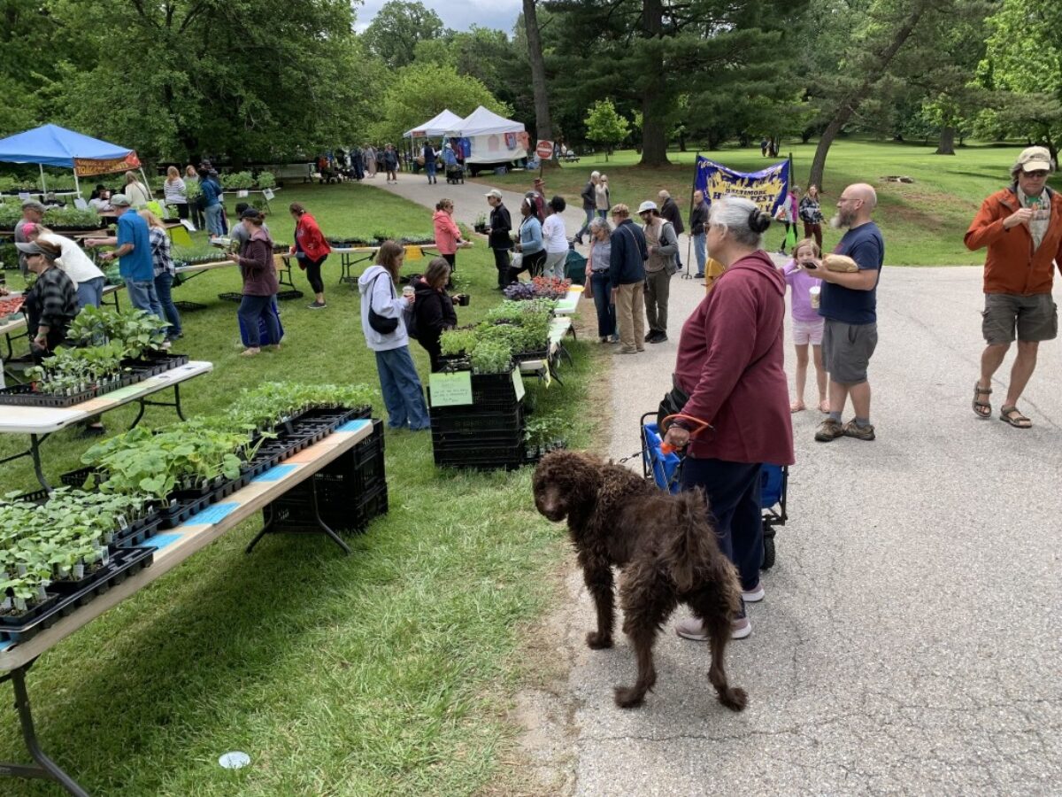 Second Sundays @ Gwynns Falls Leakin Park