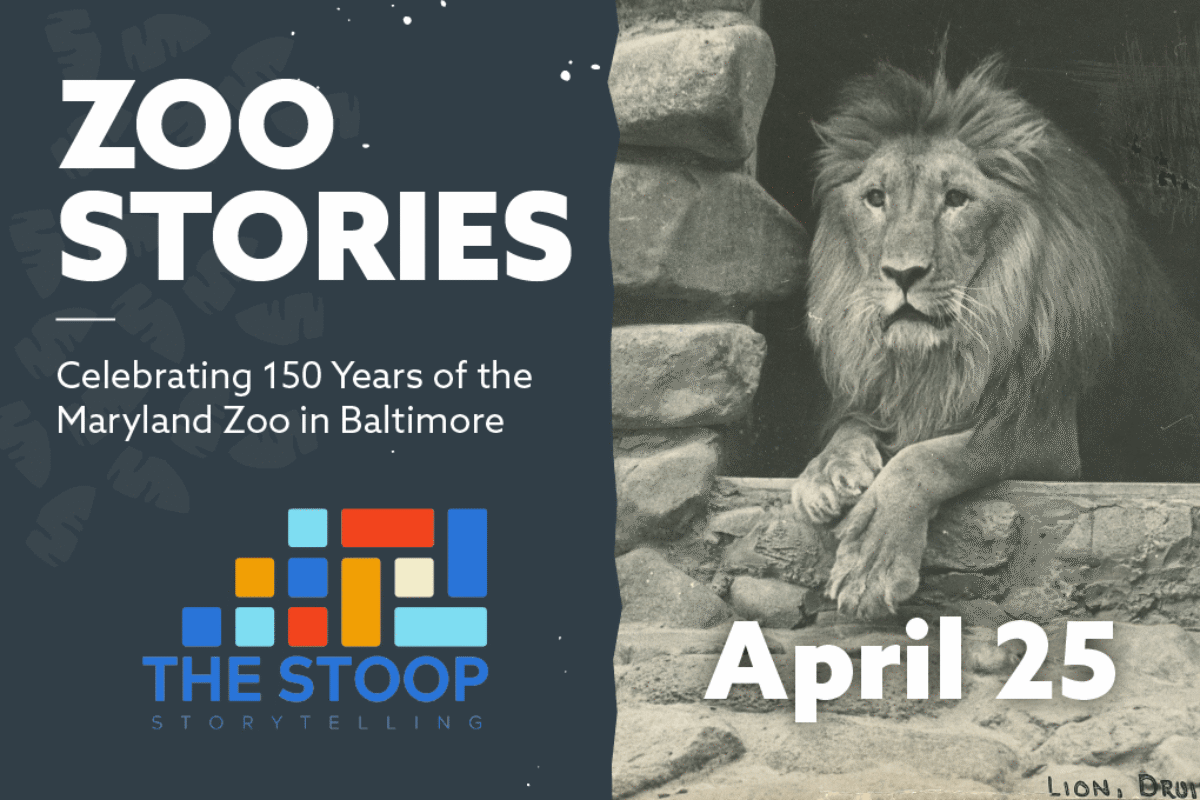 Stoop Storytelling at Maryland Zoo