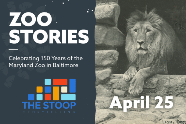 Stoop Storytelling at Maryland Zoo