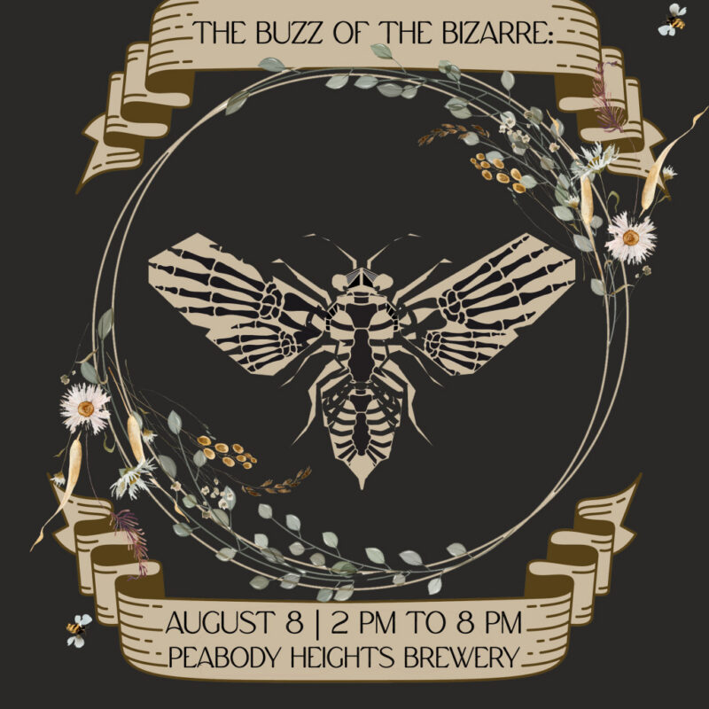 The Buzz of the Bizarre: a Charm City Meadworks Curiosity Expo